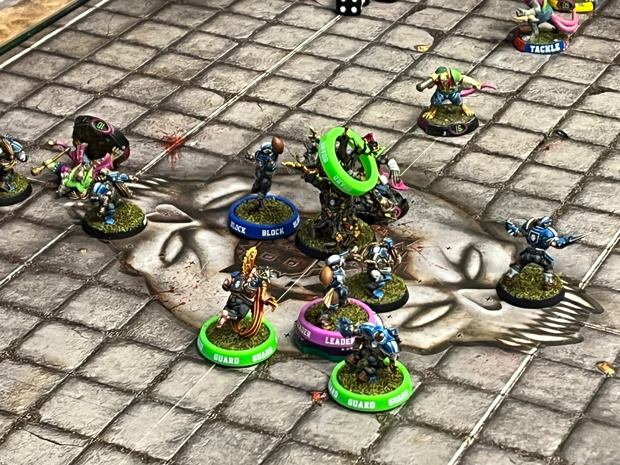 The Colosseum Cup 2026 photo 16